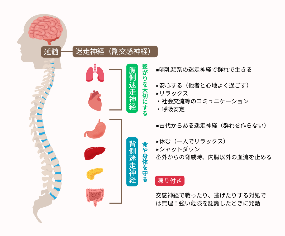 迷走神経